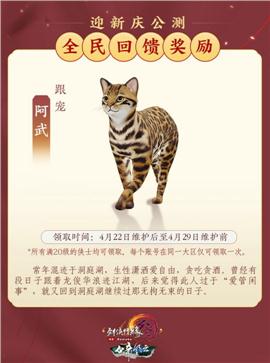 僵夜天龙八部私服